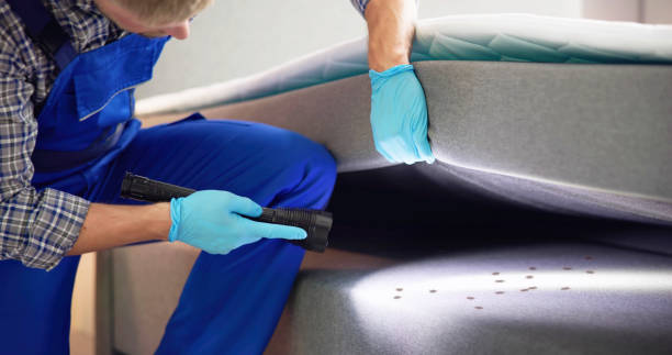 Best Rat Extermination Near Me  in Homer Glen, IL