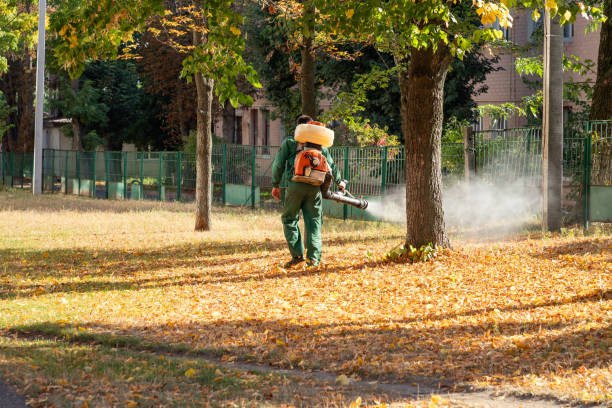 Bird Control in Homer Glen, IL