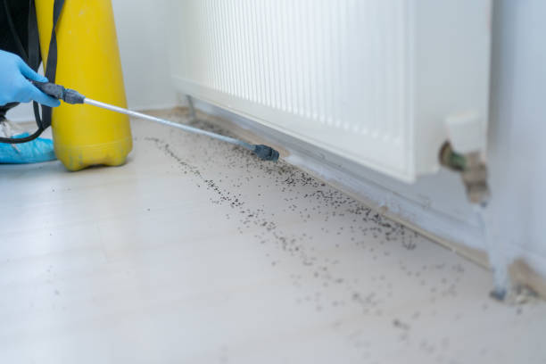 Best Commercial Pest Control Services  in Homer Glen, IL