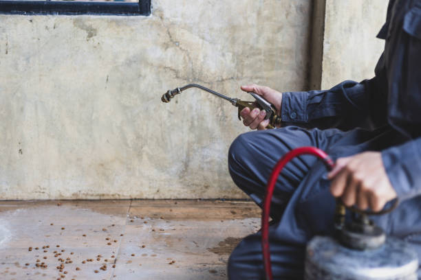 Best Pest Inspection Near Me  in Homer Glen, IL